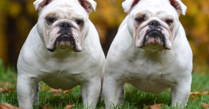 Retargeting vs remarketing - różnice i podobieństwa