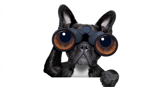 Skąd wziąć bazę do mailingu?