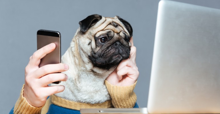 Jak wysłać mailing?